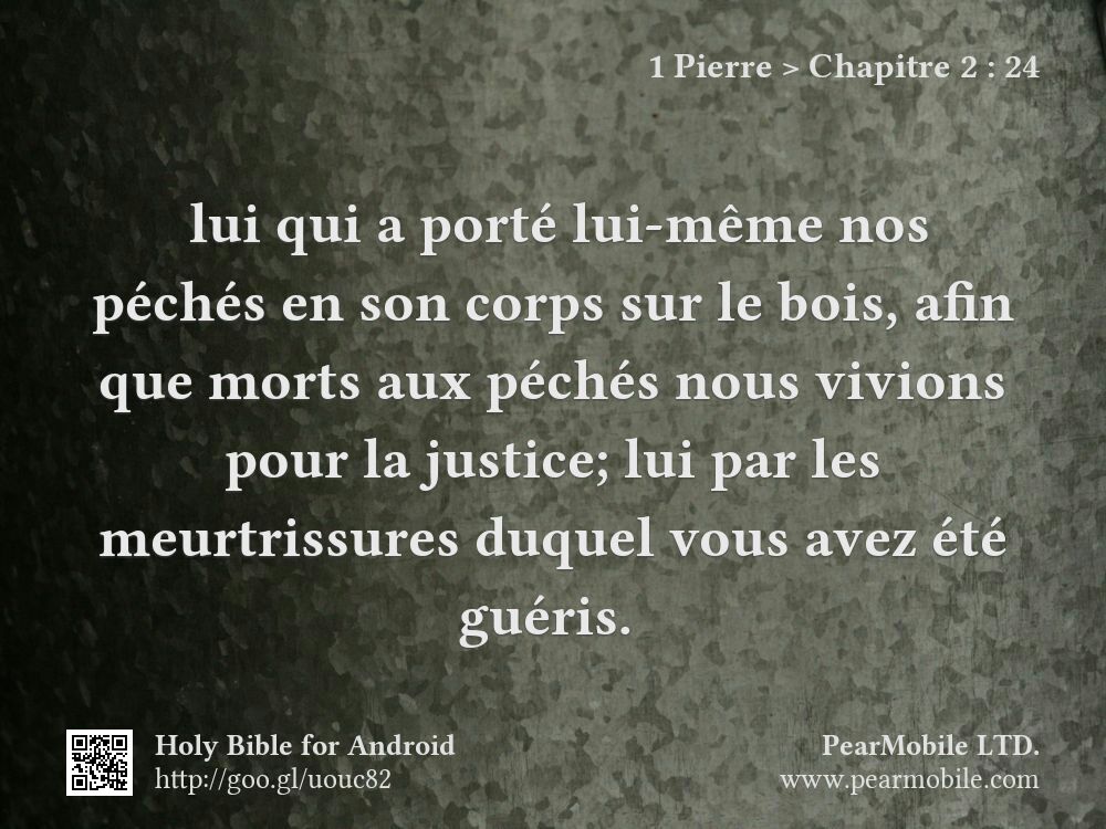 1 Pierre, Chapitre 2:24